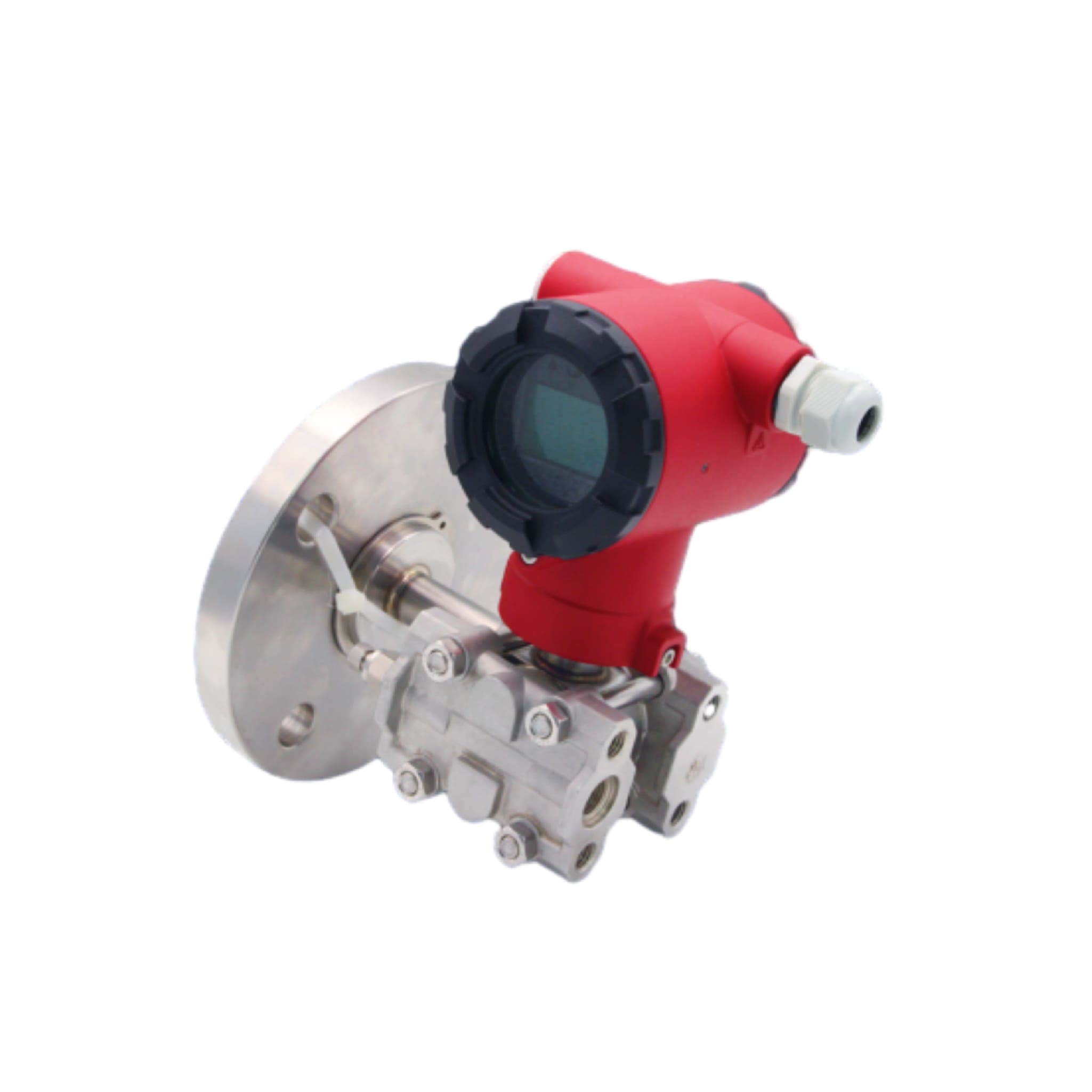 Differential Pressure Transmitter with Direct Mount Diaphragm Seal