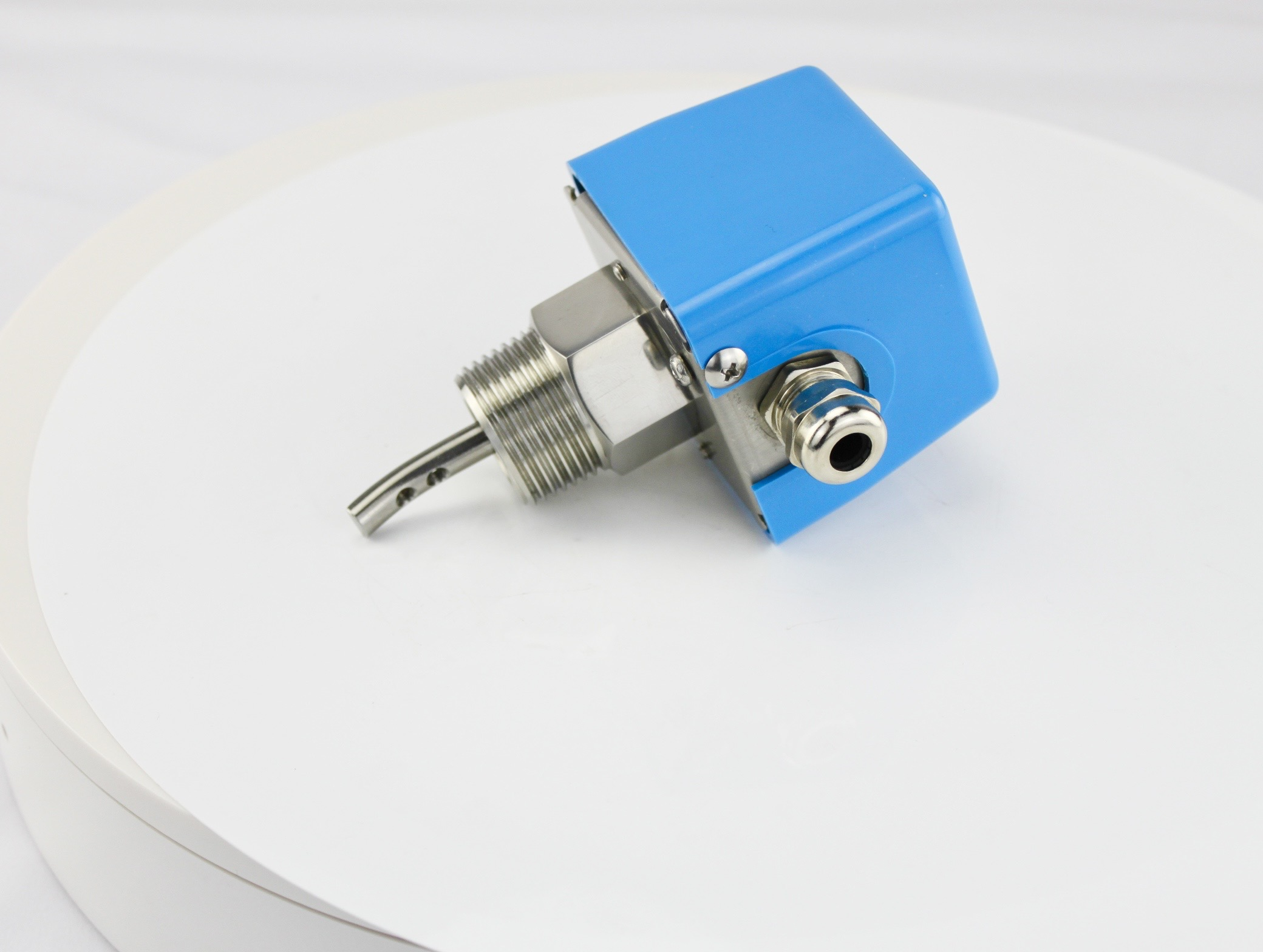 What is a Paddle Flow Switch?