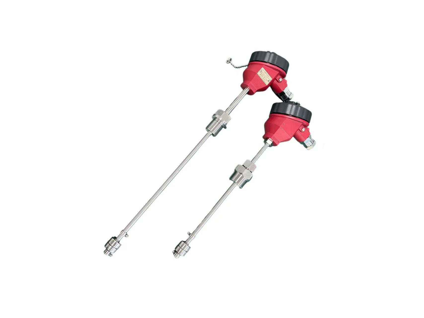 What is a Rod Float Level Switch?